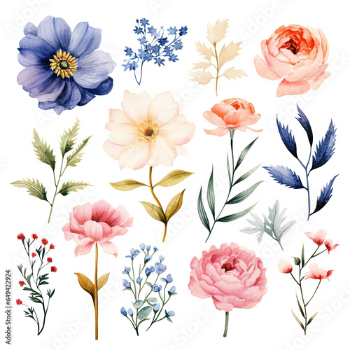 Floral elements collection, watercolor flower set (Generative Ai)