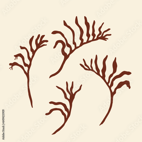 Flt vector kangaroo paw flower illustration