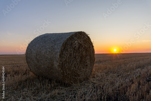 A bale of wheat straw in a field against the background of sunset