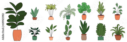 Set of houseplants colored outline. Hand drawn houseplant. Vector illustration.