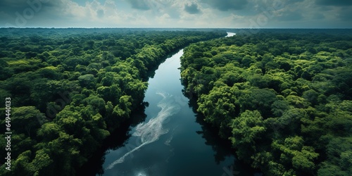 Generative AI  green beautiful amazonian jungle landscape with trees and river  drone view