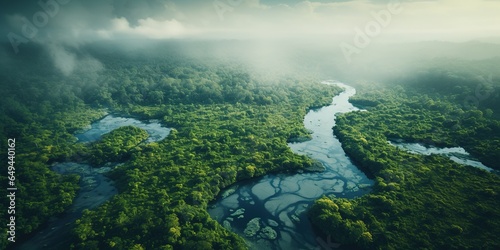 Generative AI, green beautiful amazonian jungle landscape with trees and river, drone view © DELstudio