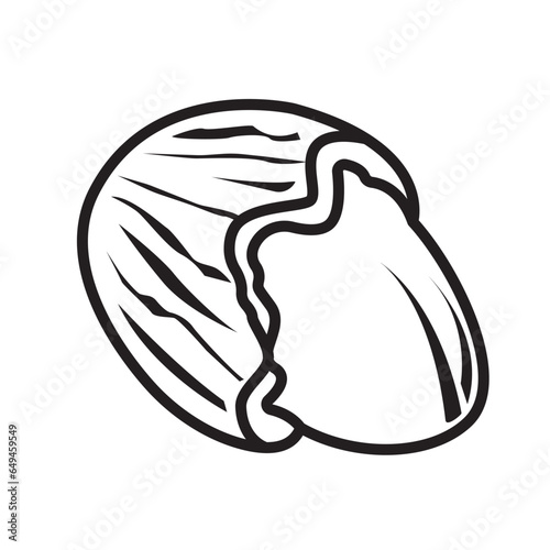 walnut icon design vector template