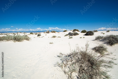 White Sands National Park  New Mexico  USA