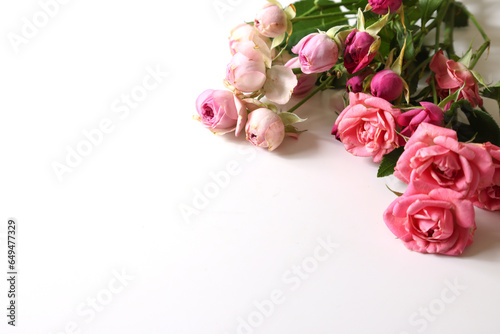 Wallpaper Mural 白背景のピンクの薔薇の花束 Torontodigital.ca