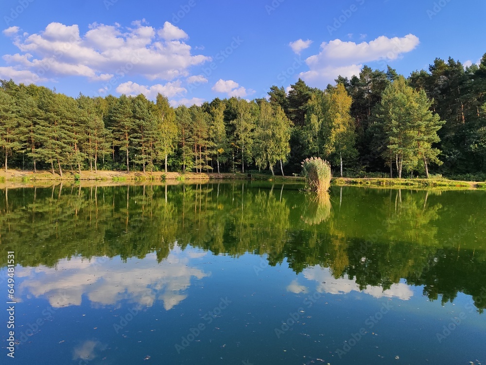 Fototapeta premium Brzeg jeziora