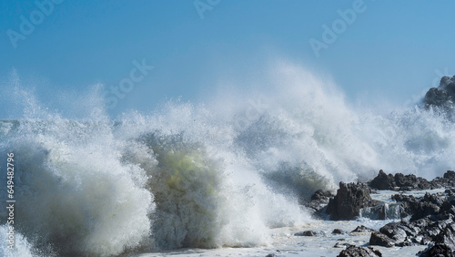 Gale at Storms River Camp  Tsitsikamma Section of  the Garden Route National Park  South Africa 