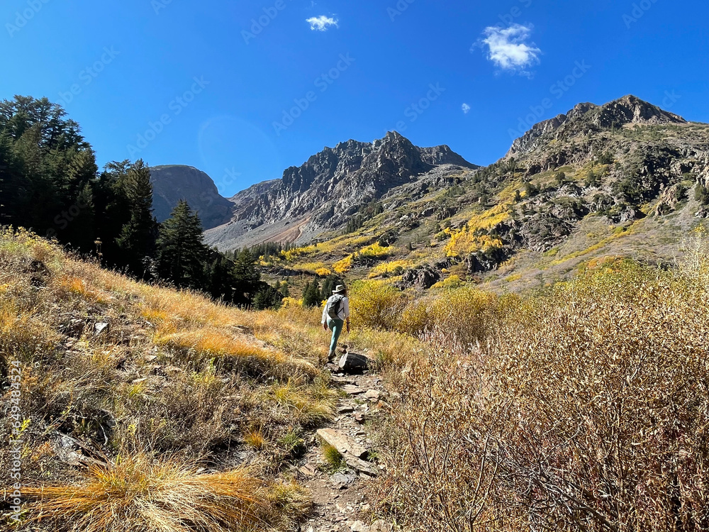Woman hikes through Lundy Canyon on clear autumn day in the Eastern Sierra, California