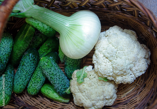 cucumbers, tomatoes, onions and dill in a wooden basket. harvest of fresh vegetables