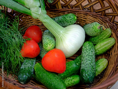 cucumbers, tomatoes, onions and dill in a wooden basket. harvest of fresh vegetables