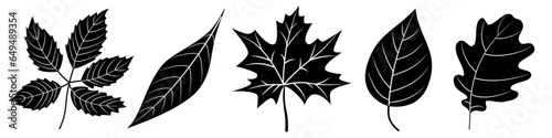 Tree leaves black silhouette isolated cutout monochrome vector clipart illustration set. Autumn leaves line art design elements. Tree foliage nature pictogram, leaf logo or icon collection.