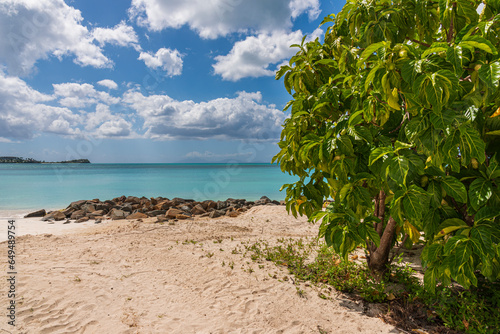 Scenic view of the tropical and wild landscape of Antigua.