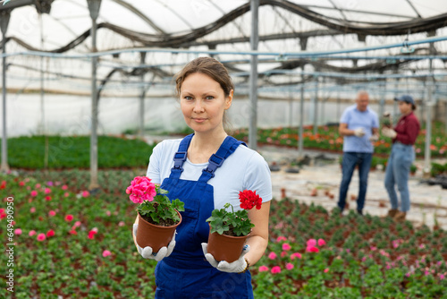 Happy middle-aged workwoman standing in glasshouse with large assortment of plants showing geranium in flower-pots © JackF