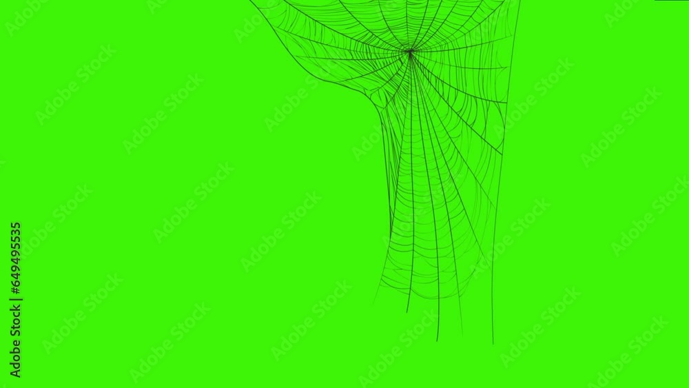 Halloween spider and net silhouette 4k loop animation on green screen, isolated motion design element