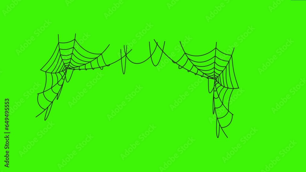 Halloween spider and net silhouette 4k loop animation on green screen, isolated motion design element