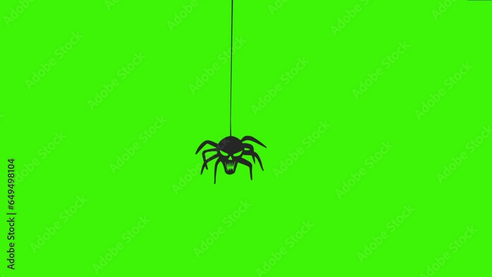 Halloween spider and net silhouette 4k loop animation on green screen, isolated motion design element