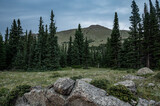 Stormy Peaks Trail Cuts Through Meadow In Remote Rocky Mountain Wilderness