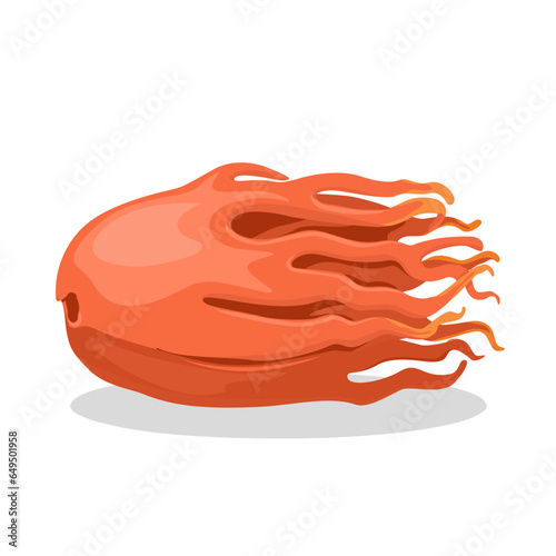 Vector illustration, mace or dried lacy coating on nutmeg, isolated on white background.