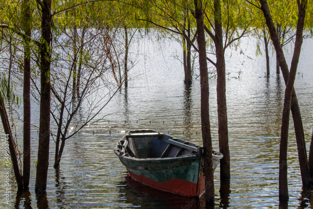 Bote Bote
