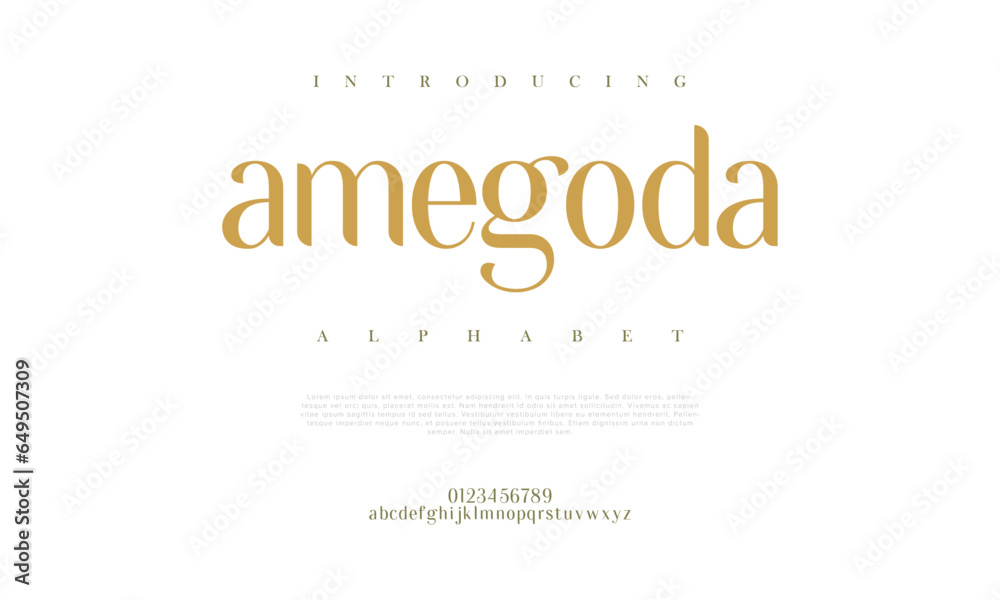 Amegoda premium luxury elegant alphabet letters and numbers. Elegant wedding typography classic serif font decorative vintage retro. Creative vector illustration