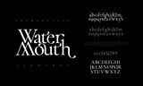 Watermotuh premium luxury elegant alphabet letters and numbers. Elegant wedding typography classic serif font decorative vintage retro. Creative vector illustration
