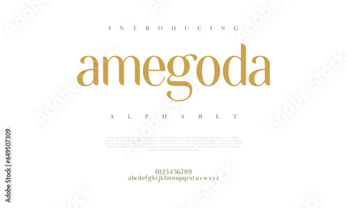 Amegoda premium luxury elegant alphabet letters and numbers. Elegant wedding typography classic serif font decorative vintage retro. Creative vector illustration