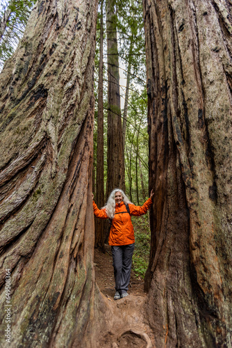 USA, California, Stinson Beach, Senior woman touching large redwood trees on hike photo