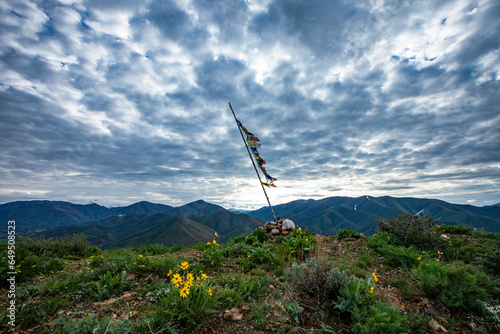 USA, Idaho, Hailey, Prayer flags and Arrowleaf Balsamroot (Balsamorhiza sagittata) on Carbonate Mountain photo