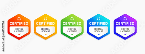 Digital license badge certified vector illustration. Colorful company or corporate training certification logo design.