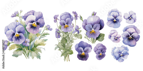 watercolor pansy clipart for graphic resources