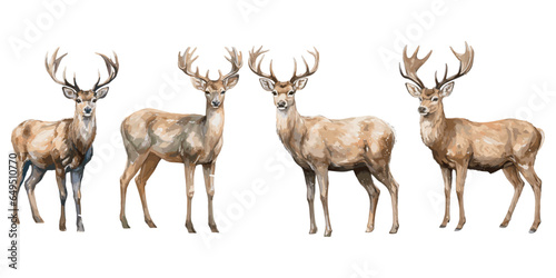 watercolor deer christmas clipart for graphic resources