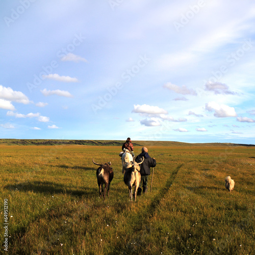 The reindeer herders of a neighboring herd are heading home 