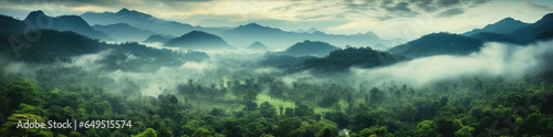 jungle, tropical forest, morning fog, top view.