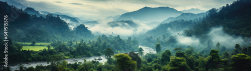 Jungle, tropical forest, morning fog, top view. © Dinara