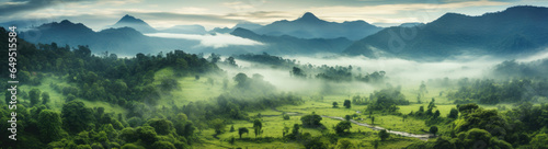 Jungle, tropical forest, morning fog, top view. © Dinara