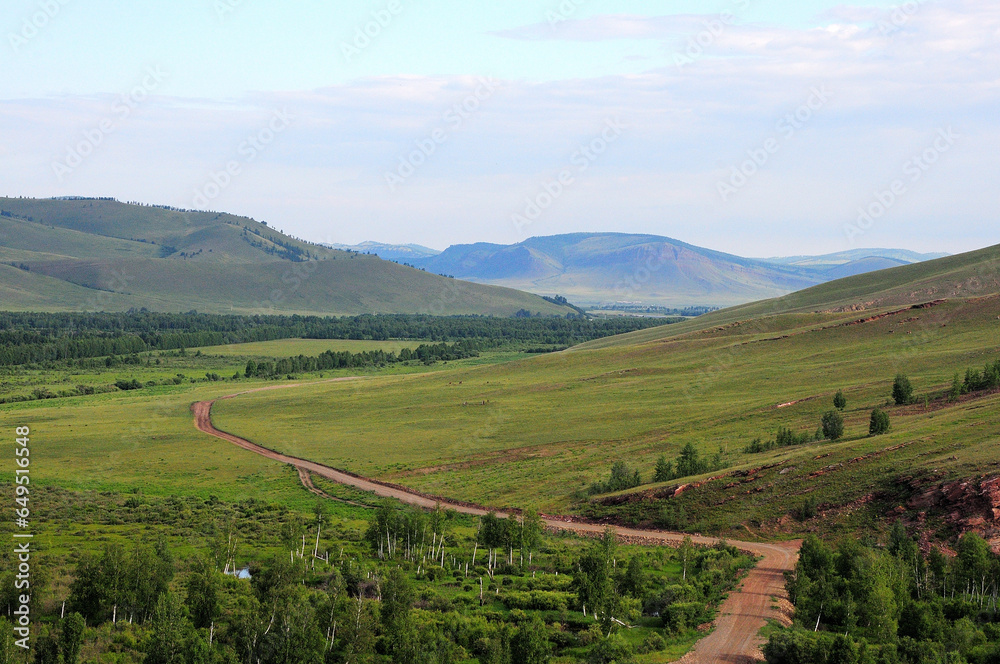 A dirt road going through the forest at the foot of a high hill in the steppe.