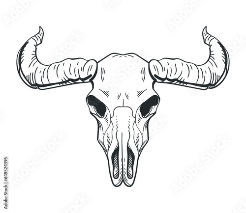 bull skull boho icon vector