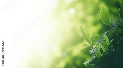 Close up of nature view green leaf on blurred greene