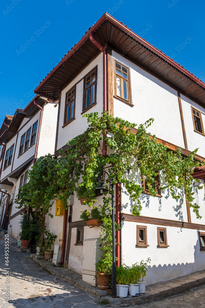 old ottoman houses on a street