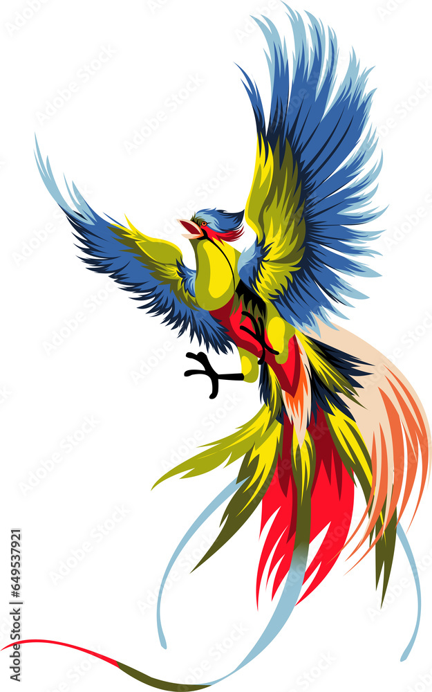 colorful bird illustration colorful bird illustration