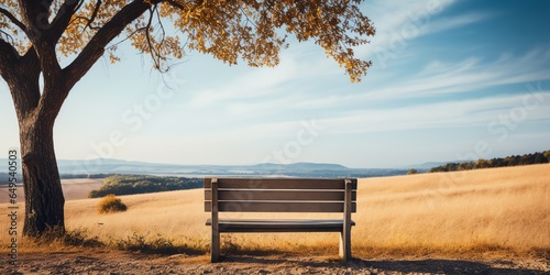 Alone bench under the tree photo