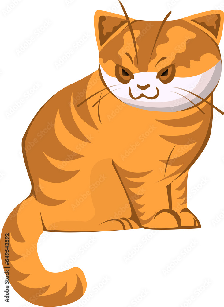 Orange Cat Character