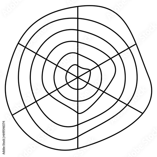 spider and spider web for Halloween