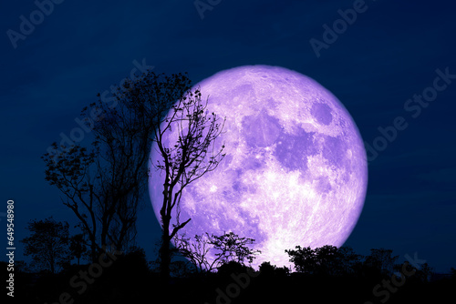 Full Crust pirple Moon and silhouette tree in the field and night sky photo