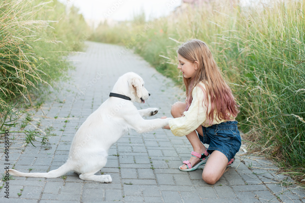 Puppy labrador retriever and little girl Puppy labrador retriever and little girl
