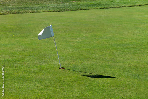 Bandierina con buca nel campo da golf photo