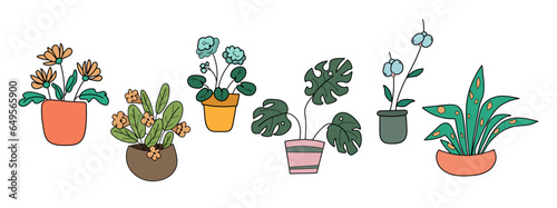 Set of indoor plants on a white background