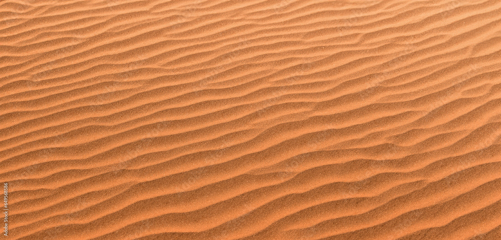 Sand background Panorama of the desert Wrinkles of sand blown by the wind Sand background Panorama of the desert Wrinkles of sand blown by the wind