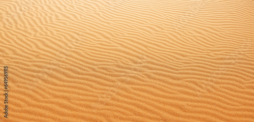 Sand background Panorama of the desert Wrinkles of sand blown by the wind