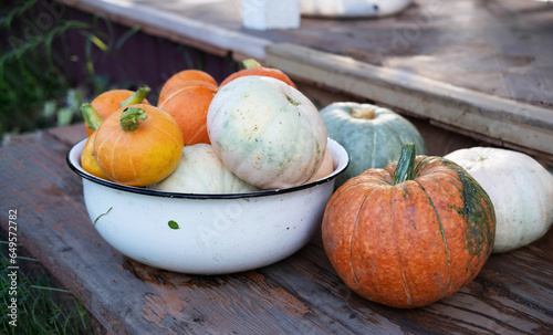 Orange, white, green autumn pumpkins lie in a container made of white metal on a brown floor horizontally, top view. The concept of Halloween and Thanksgiving.